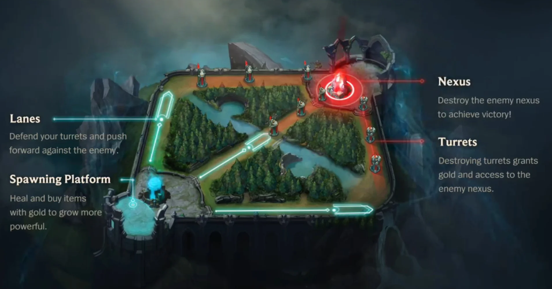 The wild rift